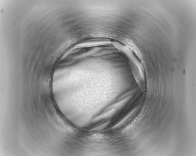 X0000088890441200706221844