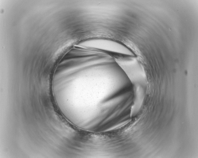 X0000088890442200706221844