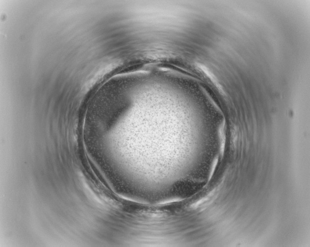 X0000088890443200706221844