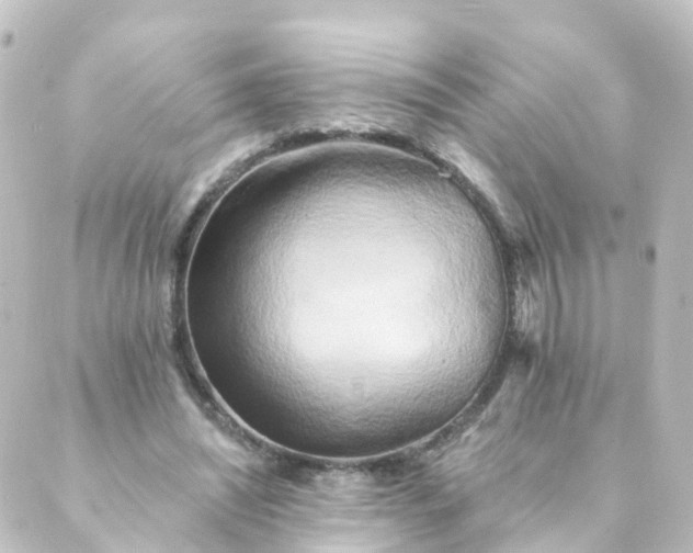 X0000088890444200706221844