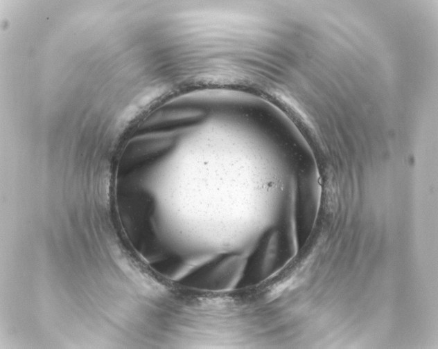 X0000088890446200706221844