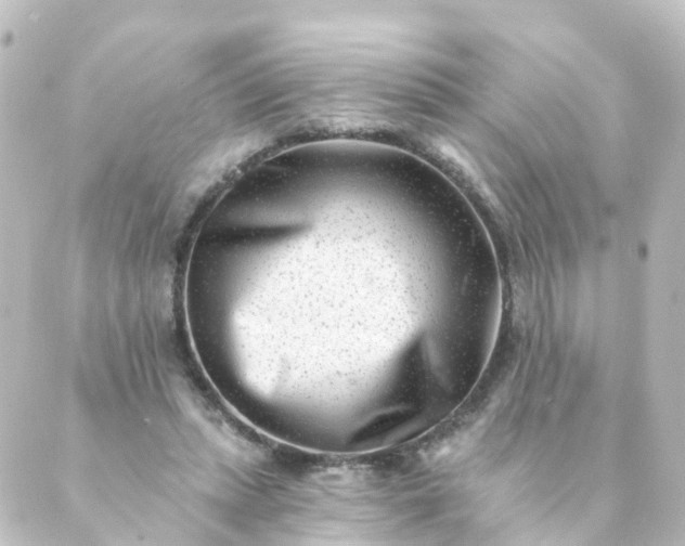 X0000088890447200706221844