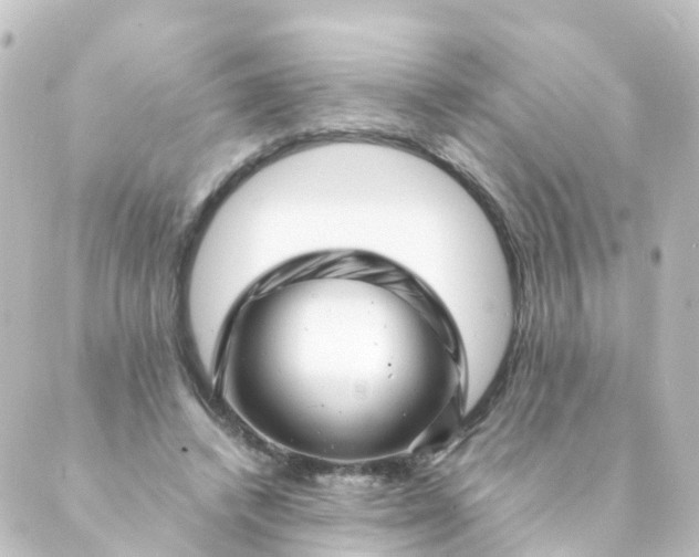 X0000088890448200706221844