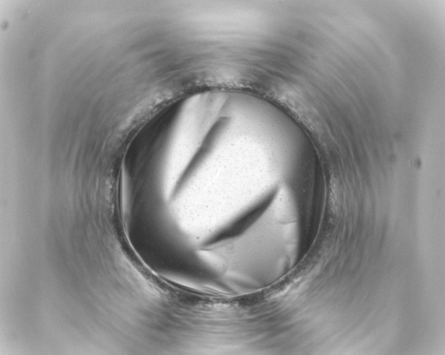 X0000088890449200706221844