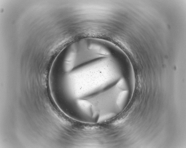 X0000088890450200706221844