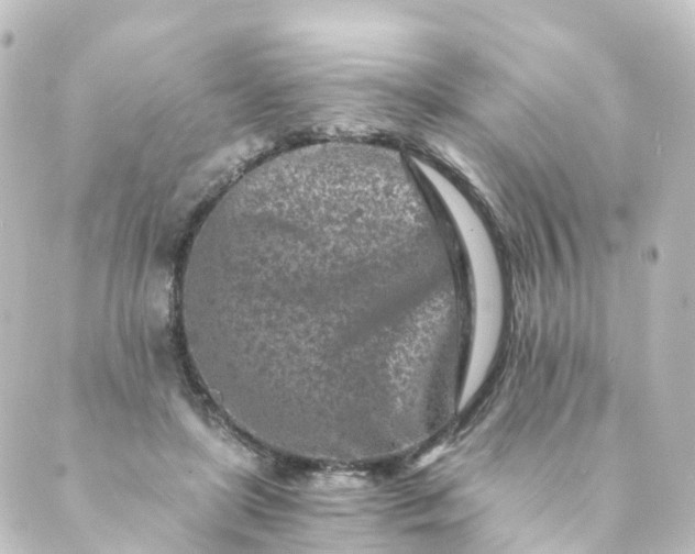 X0000088890451200706221844