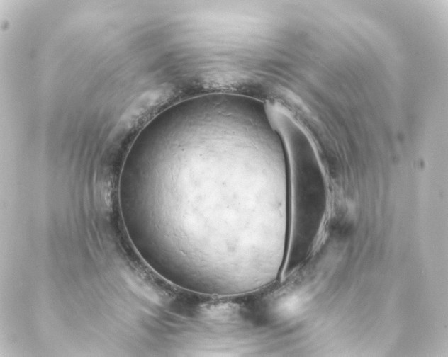 X0000088890452200706221844