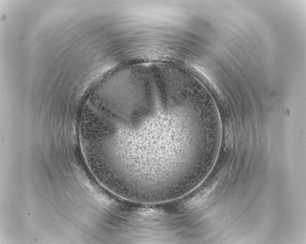 X0000088890453200706221844