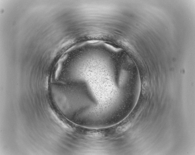 X0000088890454200706221844