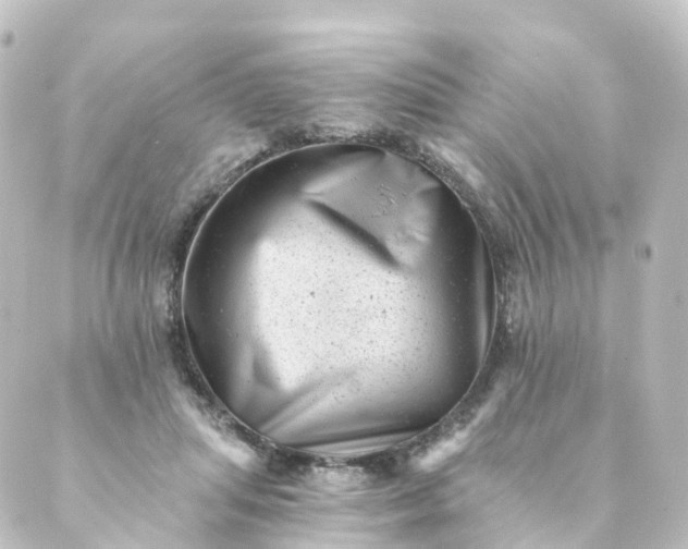 X0000088890455200706221844