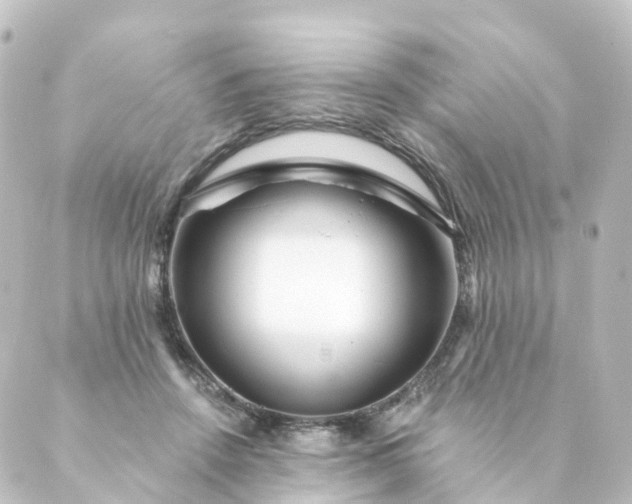 X0000088890456200706221844