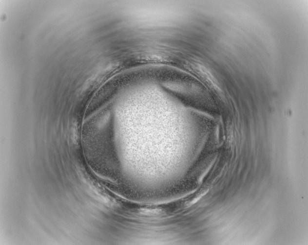 X0000088890457200706221844