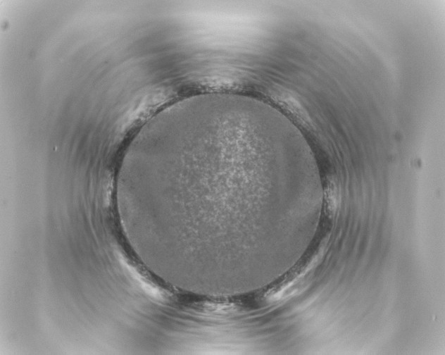 X0000088890458200706221844