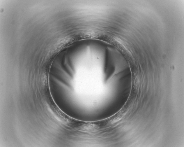 X0000088890459200706221844