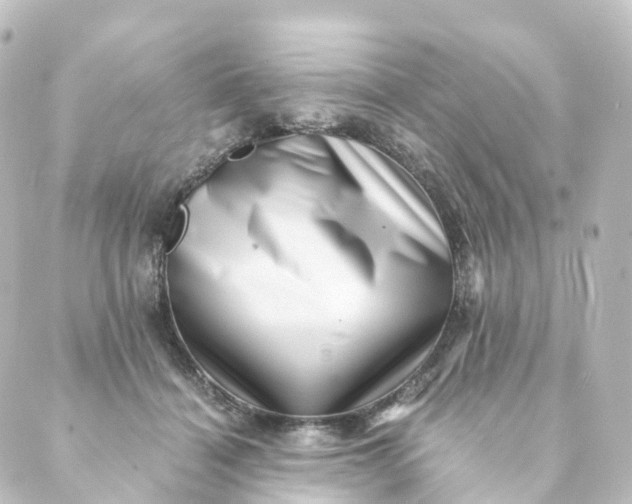 X0000088890460200706221844