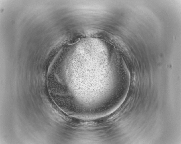 X0000088890461200706221844