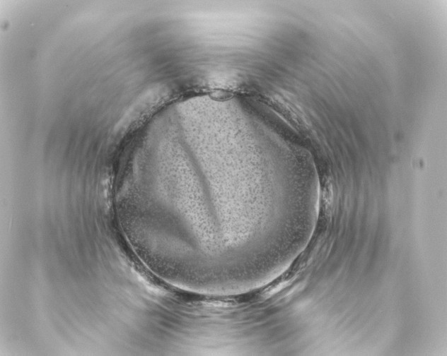 X0000088890462200706221844