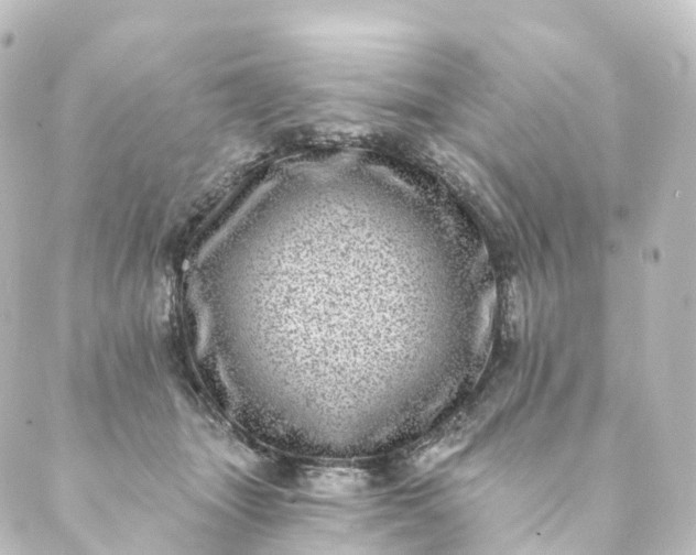 X0000088890463200706221844