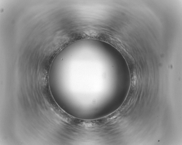 X0000088890464200706221844