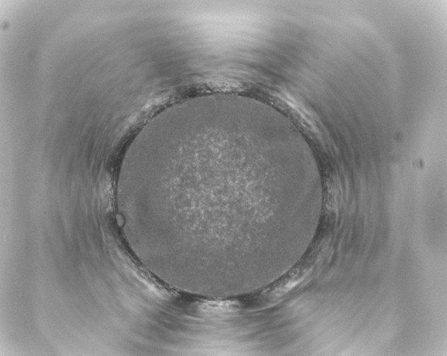 X0000088890465200706221844