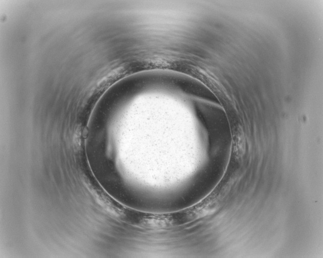 X0000088890466200706221844