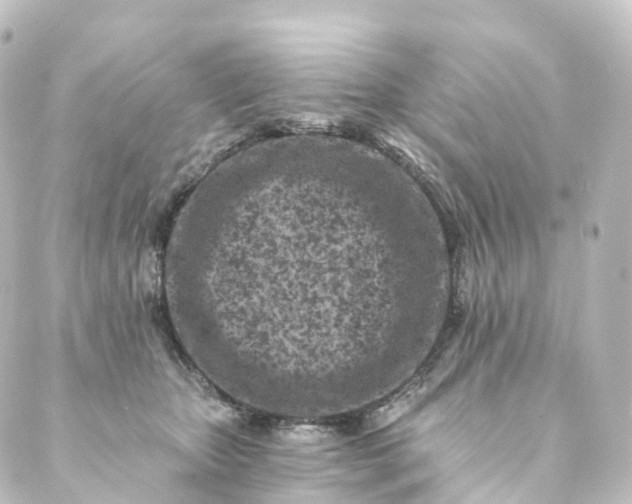 X0000088890467200706221844