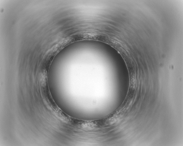 X0000088890468200706221844