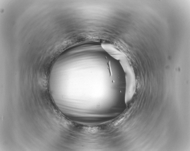 X0000088890469200706221844