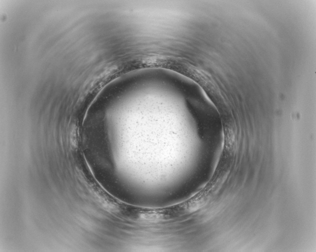 X0000088890470200706221844