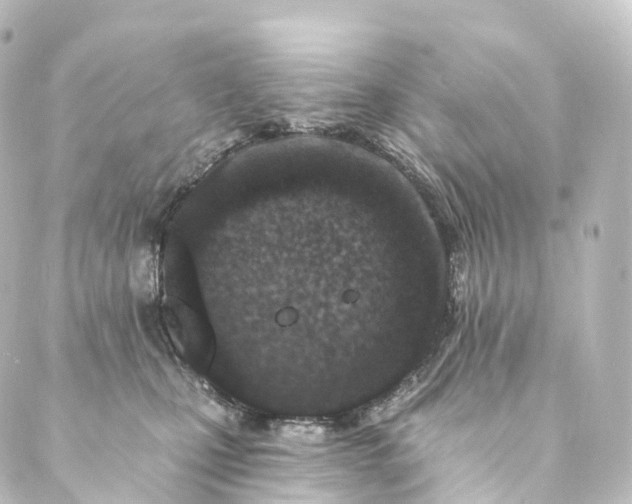 X0000088890471200706221844