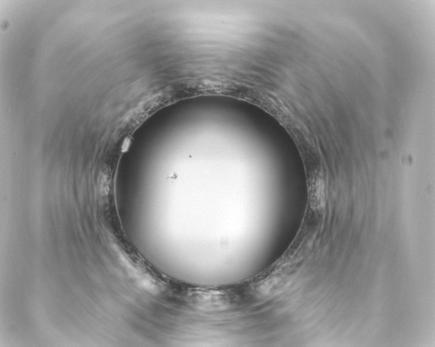 X0000088890472200706221844