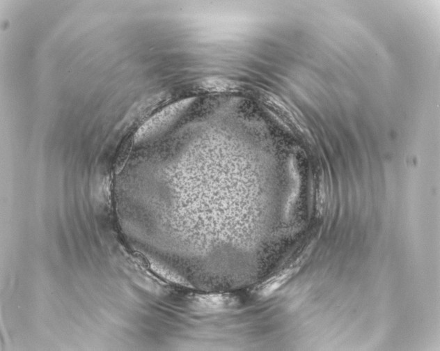 X0000088890473200706221844