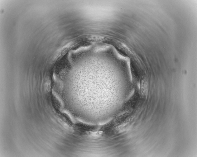 X0000088890474200706221844