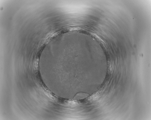 X0000088890475200706221844