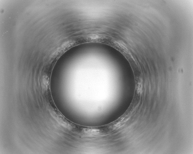 X0000088890476200706221844