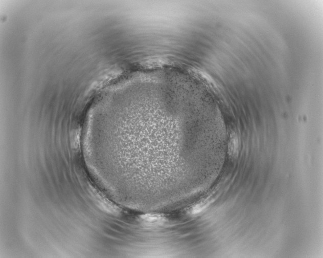 X0000088890477200706221844