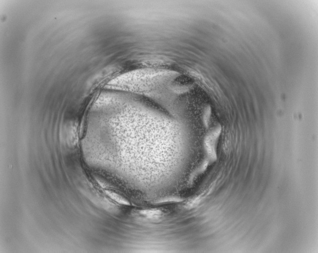 X0000088890478200706221844