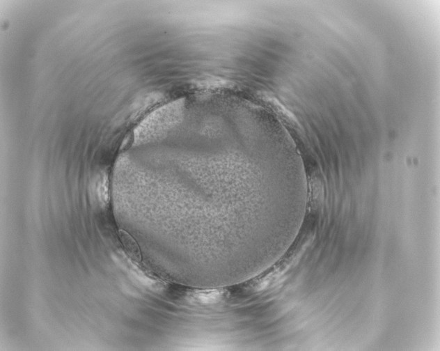 X0000088890479200706221844