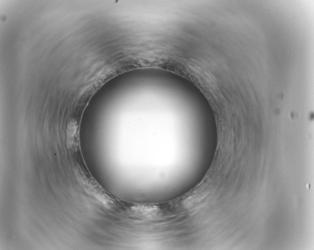 X0000088890480200706221844