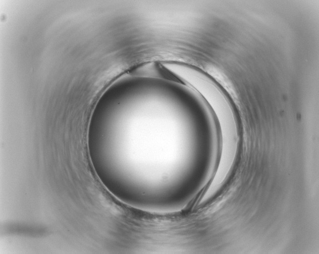 X0000088890481200706221844