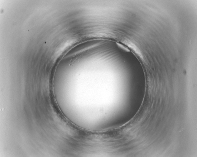 X0000088890482200706221843