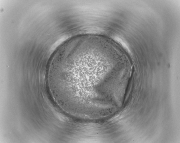 X0000088890483200706221843