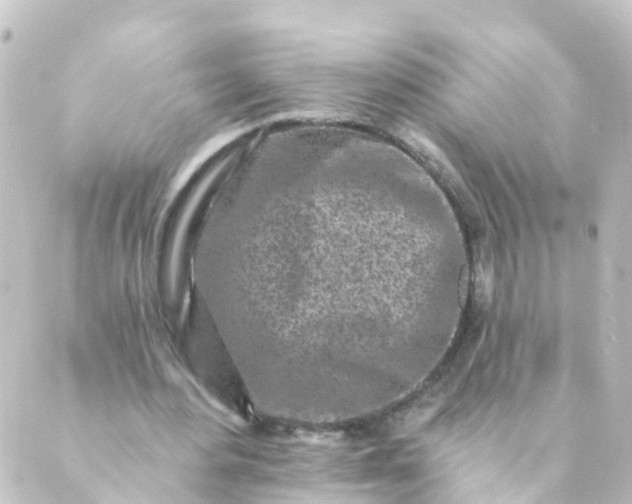 X0000088890484200706221843