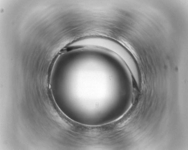 X0000088890485200706221843