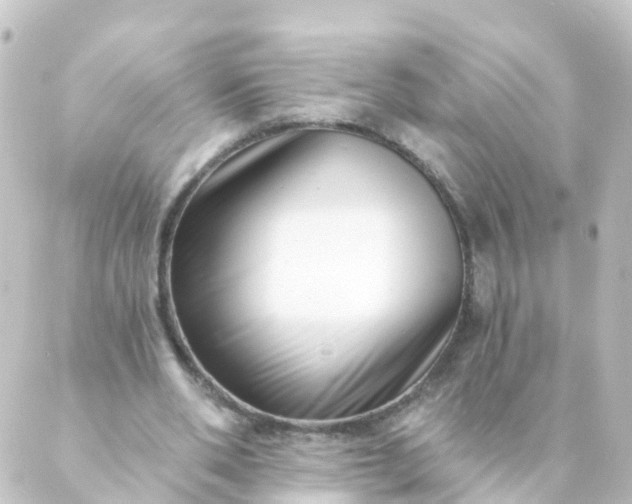 X0000088890486200706221843