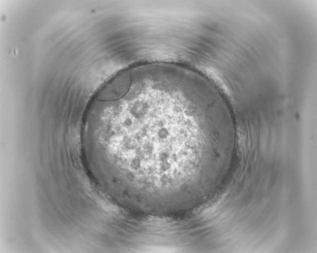 X0000088890487200706221843