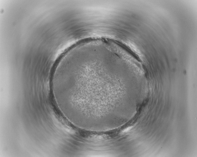 X0000088890488200706221843