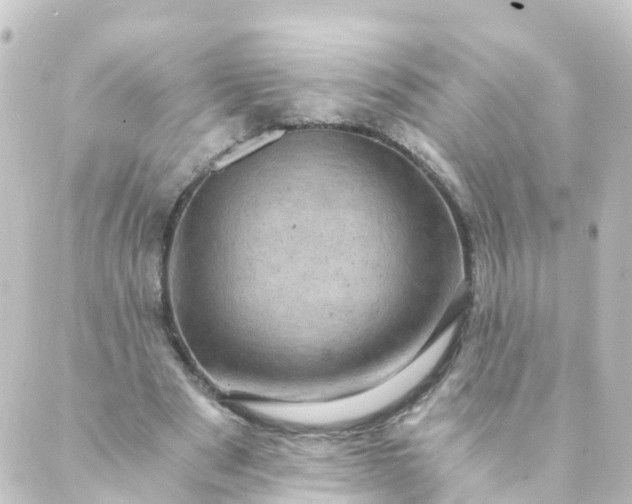 X0000088890489200706221843