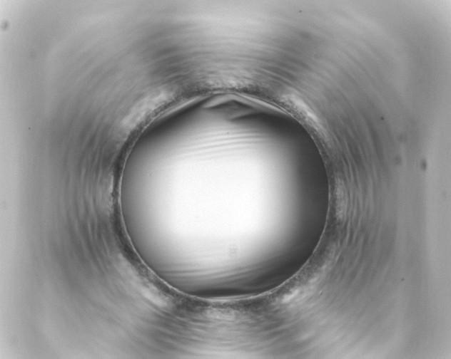 X0000088890490200706221843