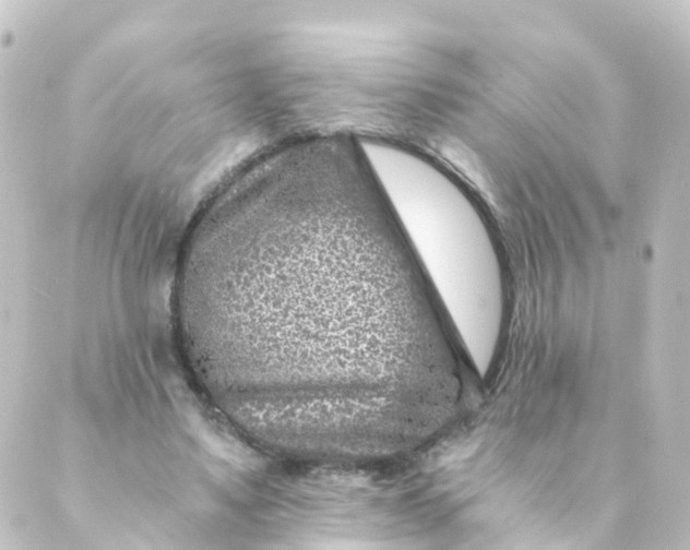 X0000088890491200706221843